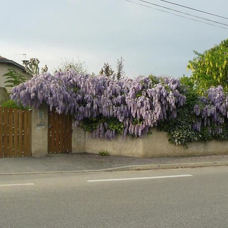 Au thé à la menthe Romans-sur-Isère Exterior foto